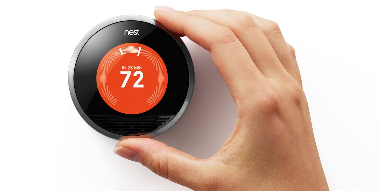 nest2.jpg nest2.jpg